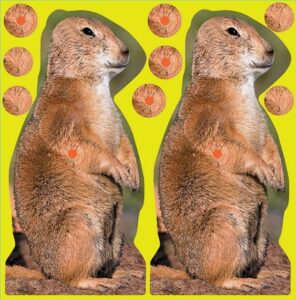 Birchwood Casey Shoot-N-C Prairie Chuck Target 8" 12/ct
