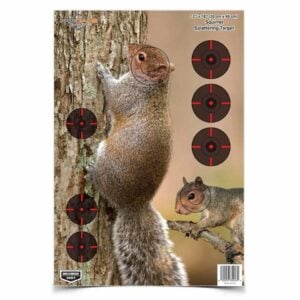 Birchwood Casey Pregame Target - 12"x18" Squirrel 8/ct