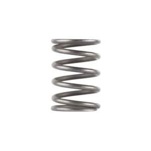 Dead Air Piston Spring for Ghost Odessa and Mojave 9