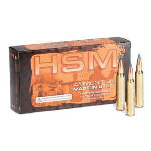 HSM 17 HORNET 20GR V-MAX - 20RD 25BX/CS