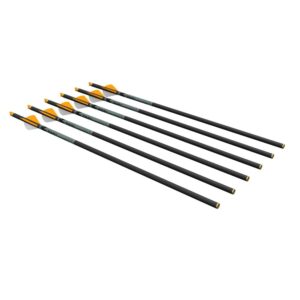 RAVIN XBOW ARROW CARBON R500 - SERIES .003" 6PK