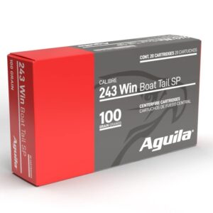 AGUILA 243WIN 100GR SP 20/200