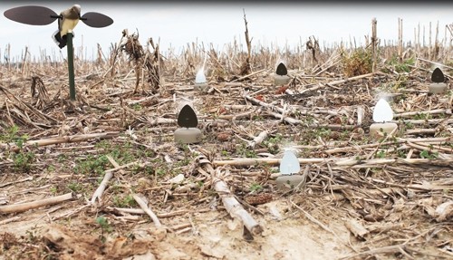 MOJO Dove A Flicker Motion Decoy 4/ct - Image 2