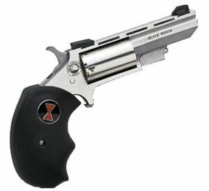 NORTH AMERICAN ARMS 22M/22L CON 2" BLK WIDOW SS FS