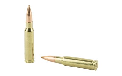 Two rifle cartridges on white background