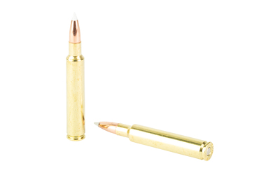 Two rifle cartridges on white background
