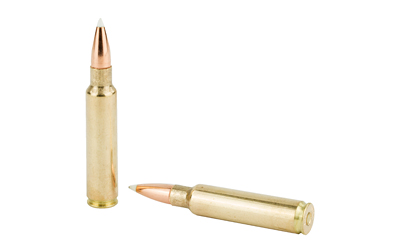 Two rifle cartridges on white background