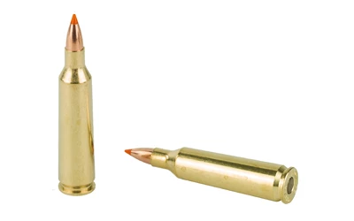 Two rifle cartridges on white background