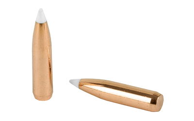 Two copper rifle bullets with white tips