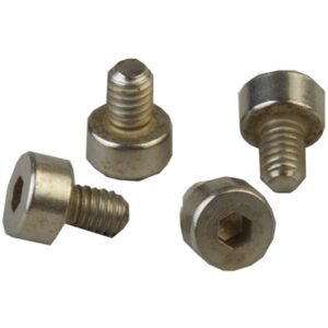 Four hex socket cap screws on white background.