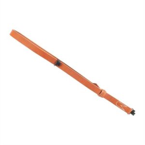 Orange leather dog collar with buckle and stitching.