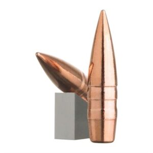 Metal bullets on a white background