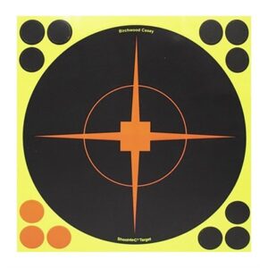 Birchwood Casey shooting target with orange bullseye