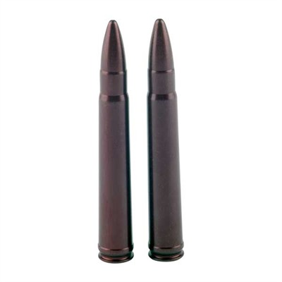 Two brown ammunition rounds on white background