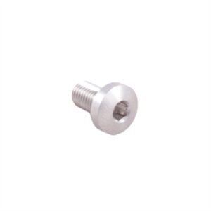 Silver Torx head screw with hexagonal socket