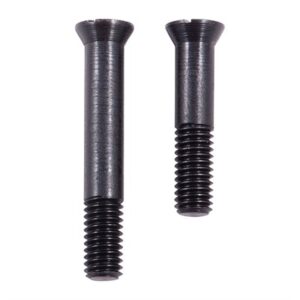 Two black screws, different lengths, isolated background.