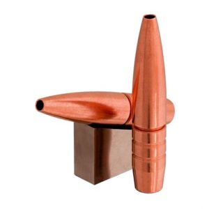 Two copper rifle bullets standing and leaning.