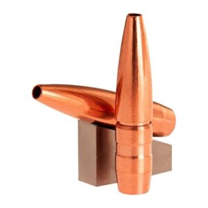 Two copper bullets on display stand.