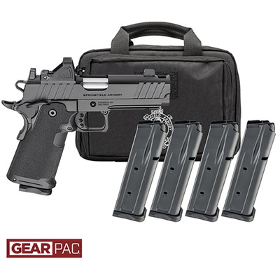 Handgun with magazines and carrying case