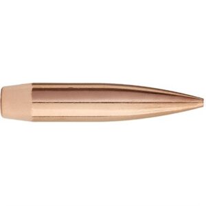 Copper-colored bullet close-up on white background.