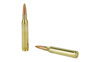 Two rifle cartridges on white background.