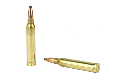 Two brass rifle cartridges on white background