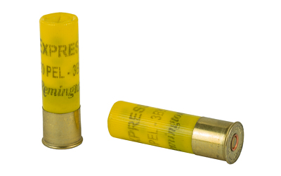Two yellow shotgun shells on white background
