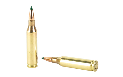 Two brass rifle cartridges with green tips