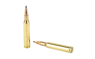 Two brass rifle cartridges on white background