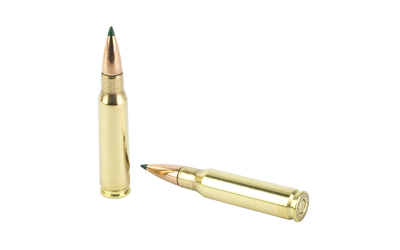Two rifle cartridges on a white background