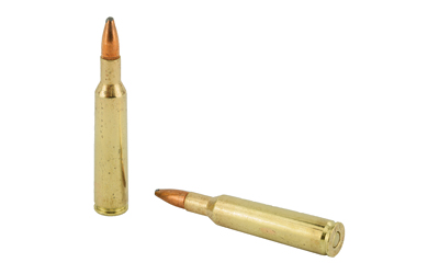 Two rifle cartridges on white background