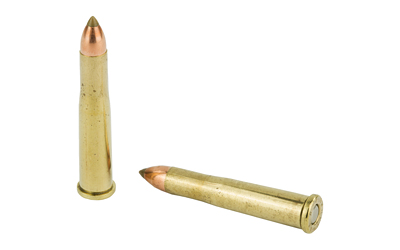 Two rifle cartridges on white background