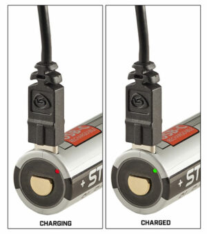 Device showing charging and fully charged status lights