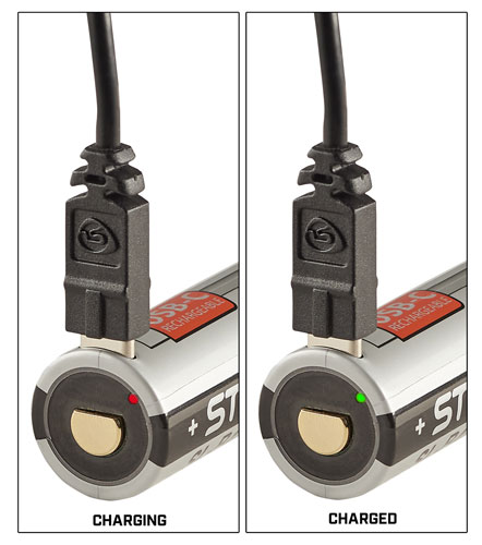 Device showing charging and fully charged status lights