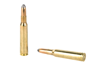 Two rifle bullets isolated on white background.