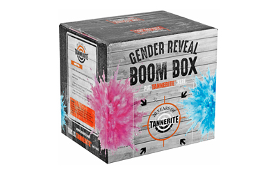Gender reveal boom box with pink and blue design