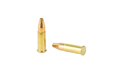 Two brass bullet casings on white background.