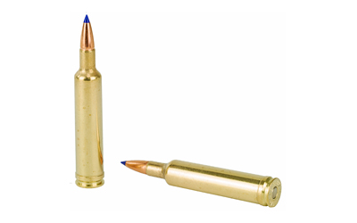 Two brass rifle cartridges on white background