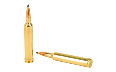 Two brass rifle cartridges on white background
