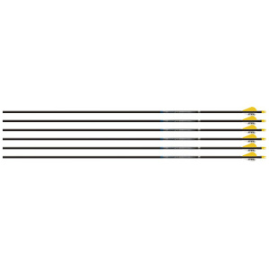 EASTON ARROW SONIC 6.0 340 - W/2" BULLY VANES 6-PACK