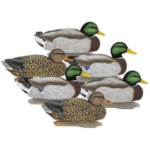 Higdon Legacy Magnum Mallard 6/ct