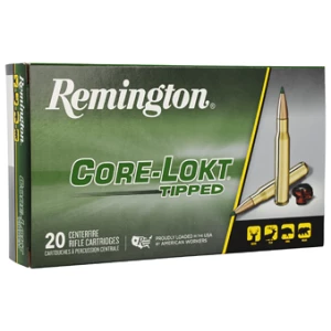 REM CORE-LOKT 7MM PRC 175GR 20/200