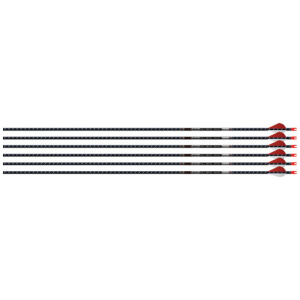EASTON ARROW 5MM FMJ 300 - 6-PACK W/ 2" BLAZER VANES