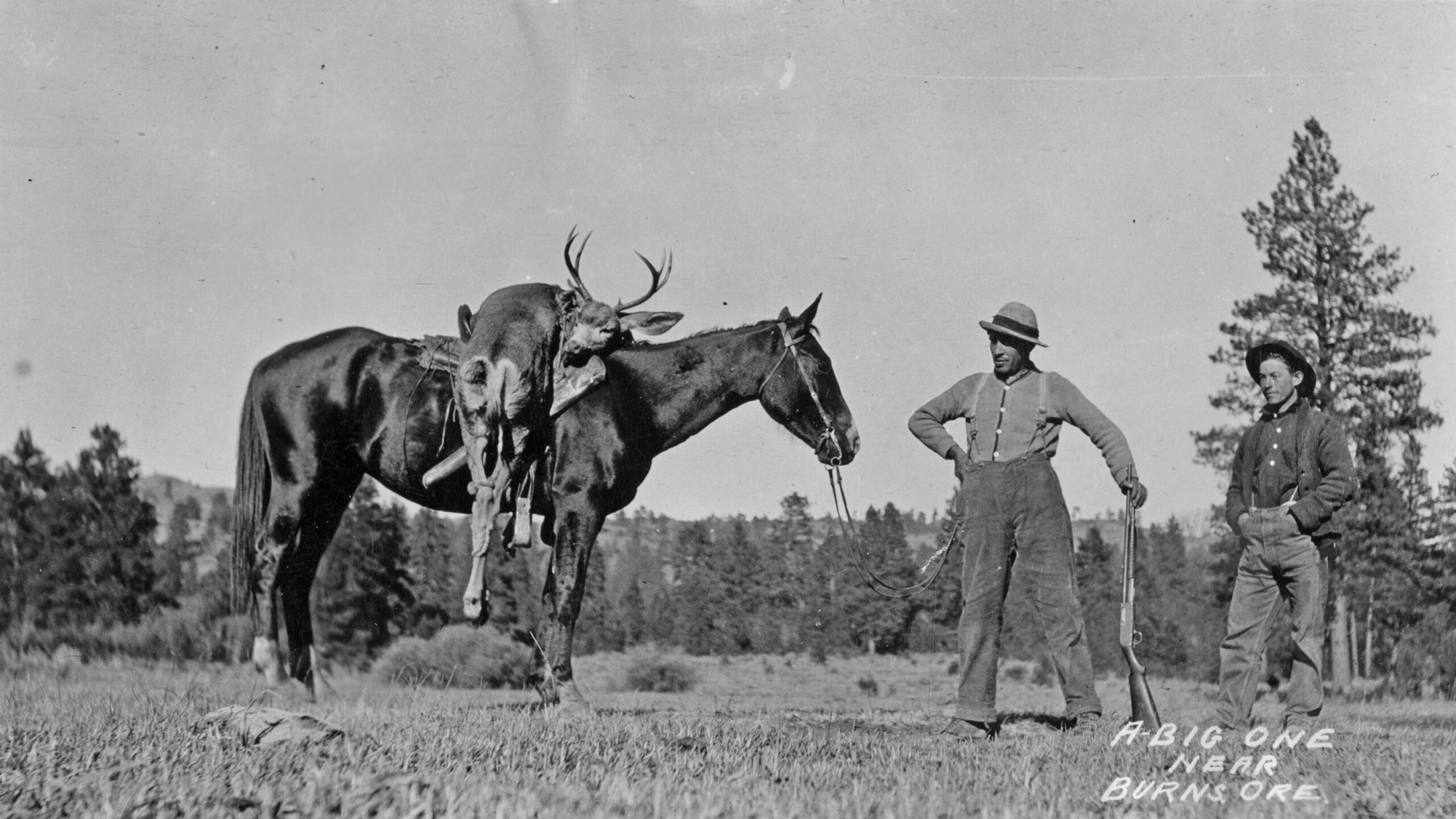 Two hunters posing with a harvested mule deer - a classic .243 Winchester game animal