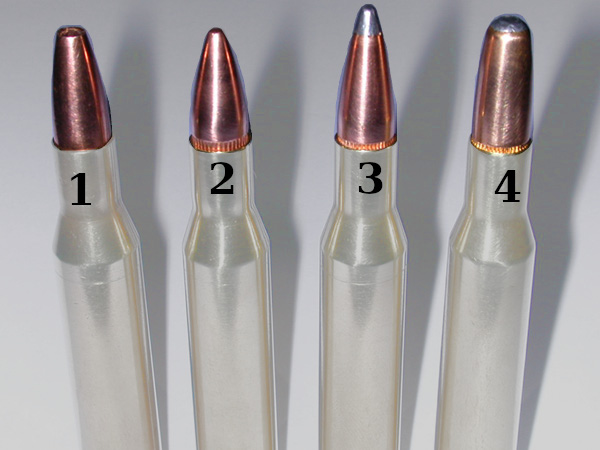 Assorted bullet types loaded in .270 Winchester ammunition