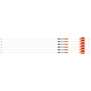 EASTON ARROW 6.5MM WHITEOUT - 300 W/2" BULLY VANES 6-PACK