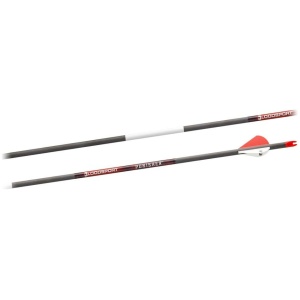 Bloodsport Punisher Arrow 350 Spine 6/pk